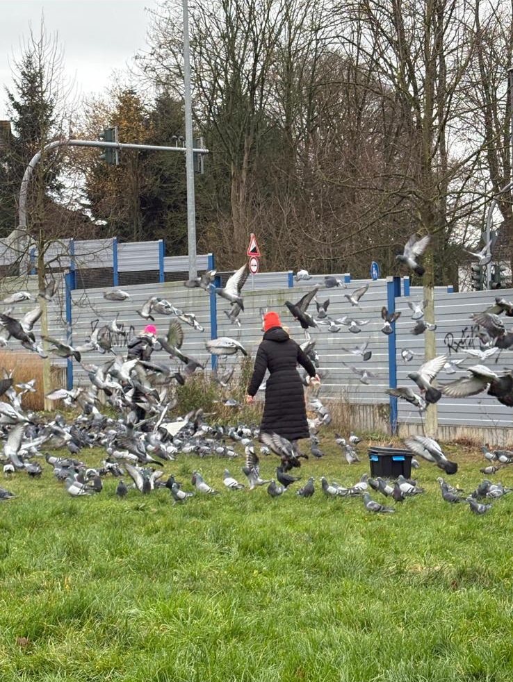 Das Team der Taubenhilfe Mettmann